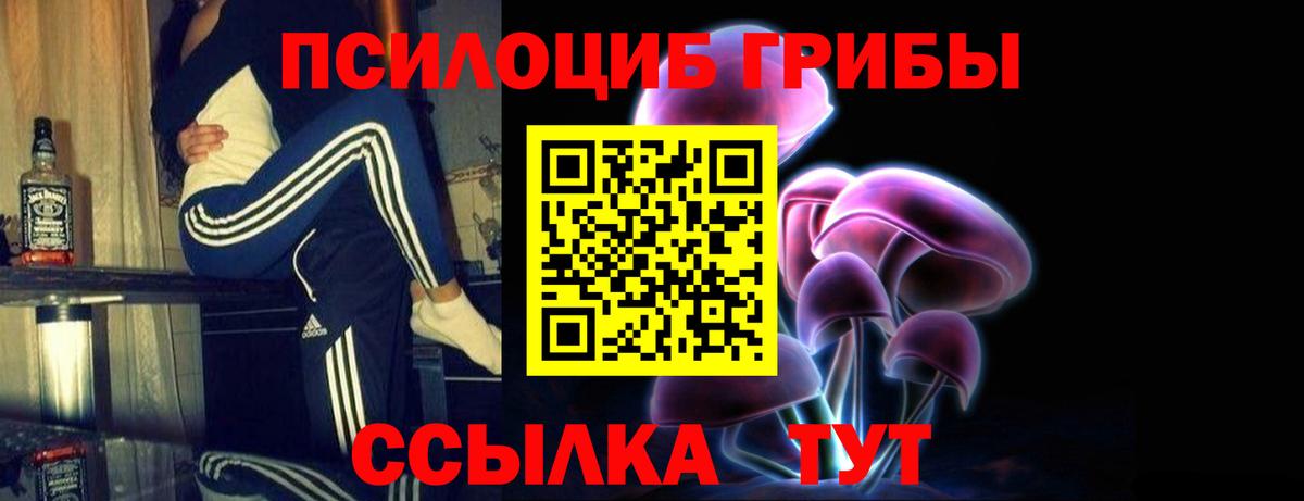 Галлюциногенные грибы мухоморы Звенигород
